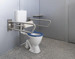 Toilet with Adult grab rails